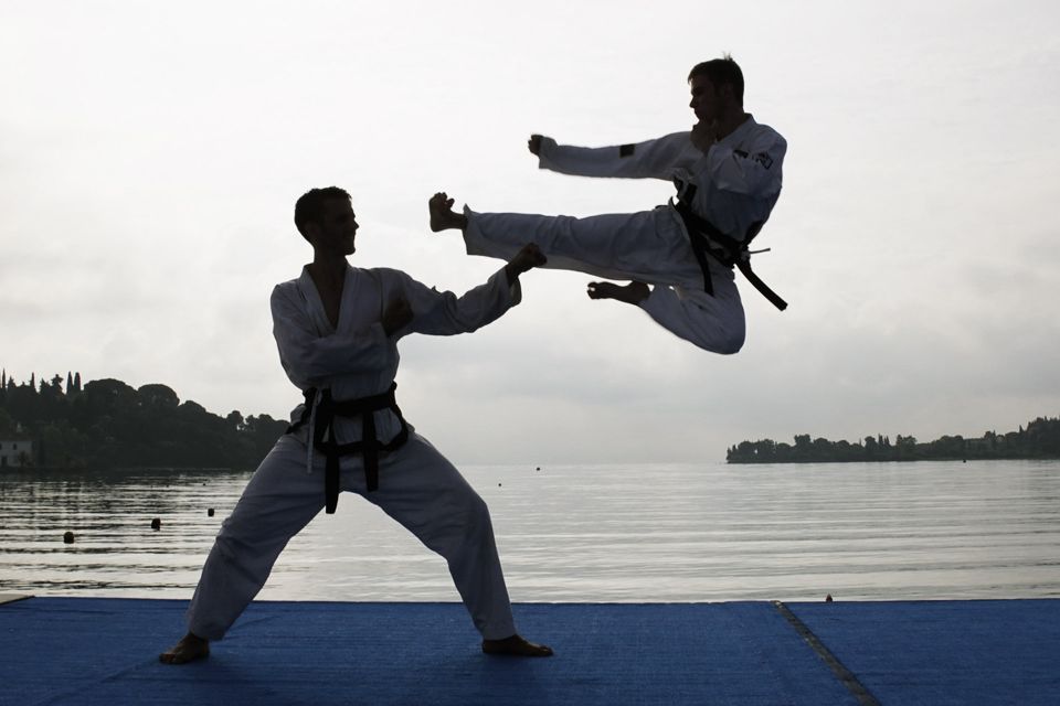 Taekwon-Do